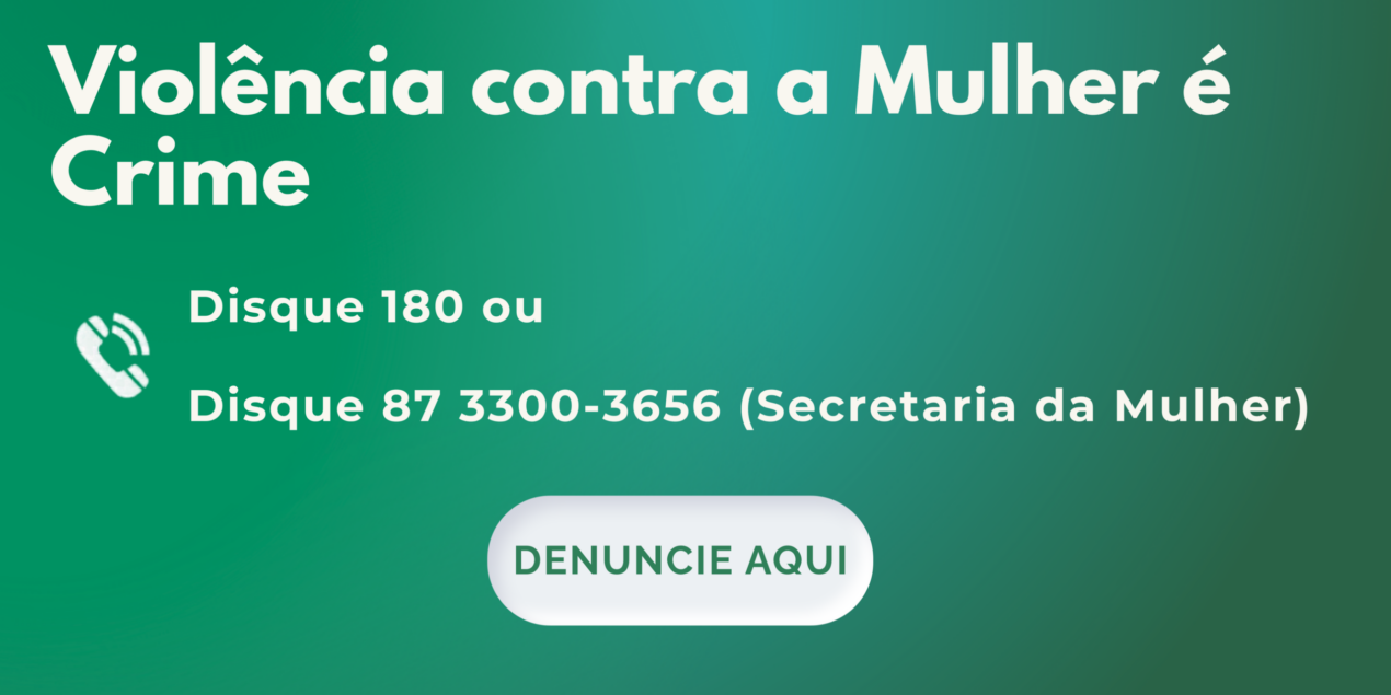 Gráfico sobre Violência Contra Mulher com Denúncia (2)